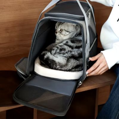Sac de transport pour chat solide
