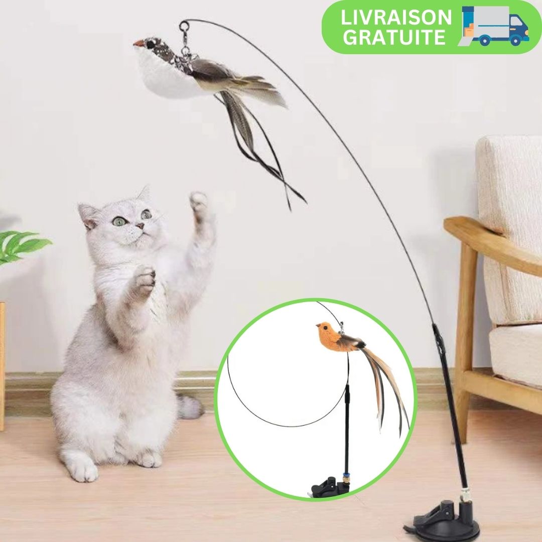 BirdFly™ | Jouet interactif pour chat avec oiseau et clochette - LES DEUX CHATS