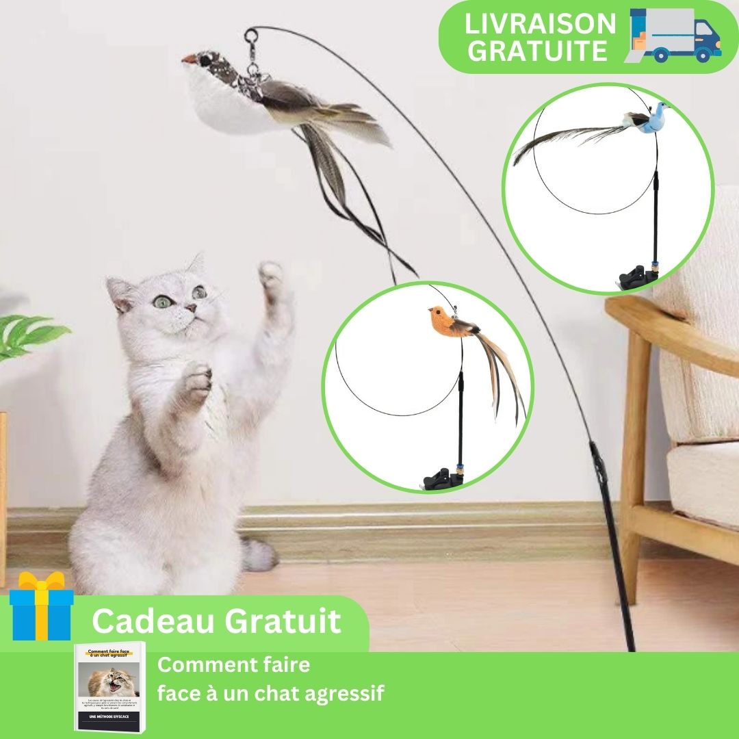 BirdFly™ | Jouet interactif pour chat avec oiseau et clochette - LES DEUX CHATS