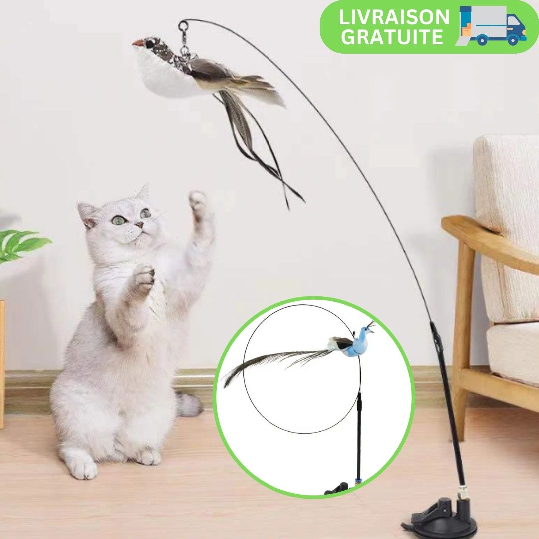 BirdFly™ | Jouet interactif pour chat avec oiseau et clochette - LES DEUX CHATS