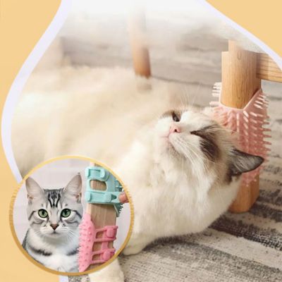 Brosse pour chat - BrushKitten™ - LES DEUX CHATS