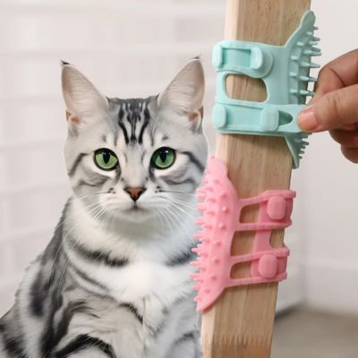 Brosse pour chat - BrushKitten™ - LES DEUX CHATS