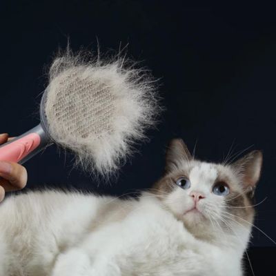 Brosse pour chat | CatComb™ - Chats Calins