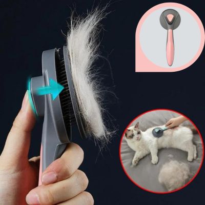 Brosse pour chat | CatCombâą - Chats Calins