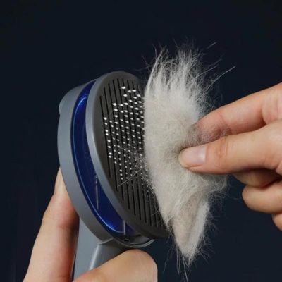 Brosse pour chat | CatComb™ - Chats Calins