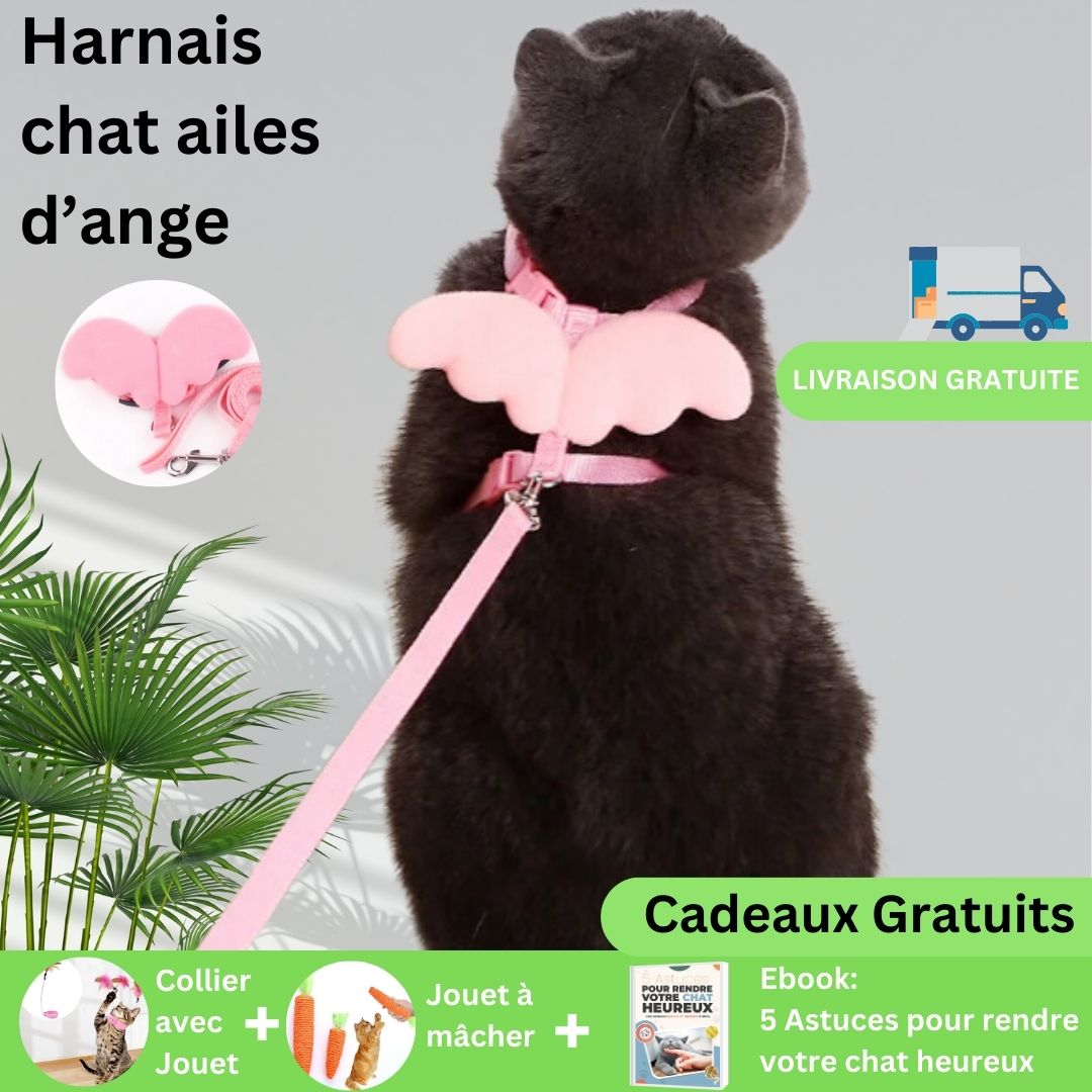 HarnessAngel™ | Harnais pour chat avec ailes d'ange - Chats Calins