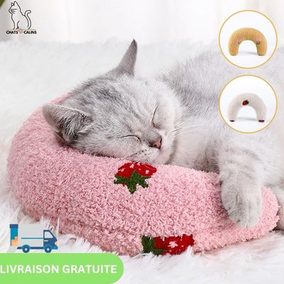 PillowMoonâą | Coussin pour chat - Chats Calins