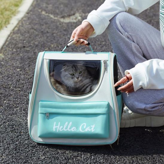 Sac-de-transport-pour-chats-vert
