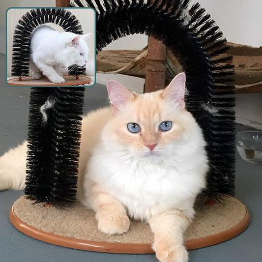 Griffoir pour chat - ArcBrush™ - LES DEUX CHATS