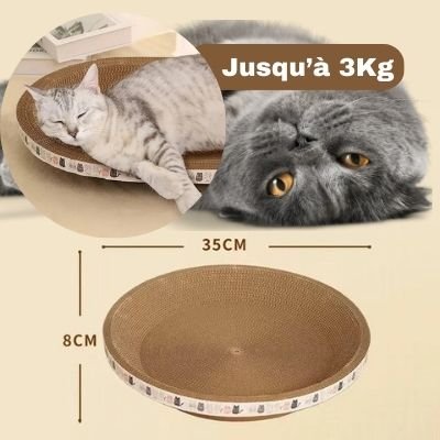 Griffoir pour chat - PanierBol™ - LES DEUX CHATS