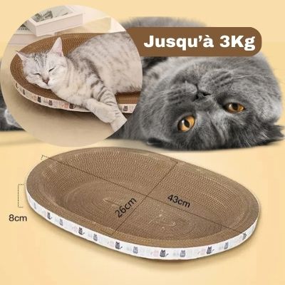 Griffoir pour chat - PanierBol™ - LES DEUX CHATS