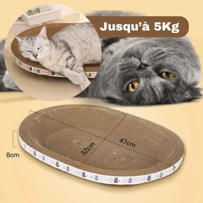 Griffoir pour chat - PanierBol™ - LES DEUX CHATS