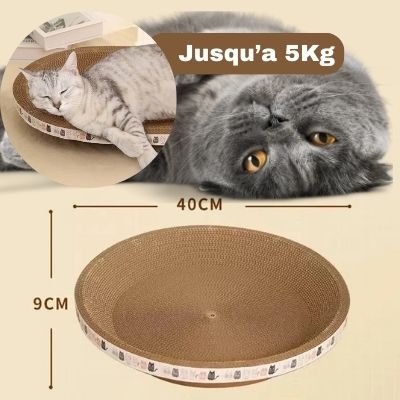 Griffoir pour chat - PanierBol™ - LES DEUX CHATS