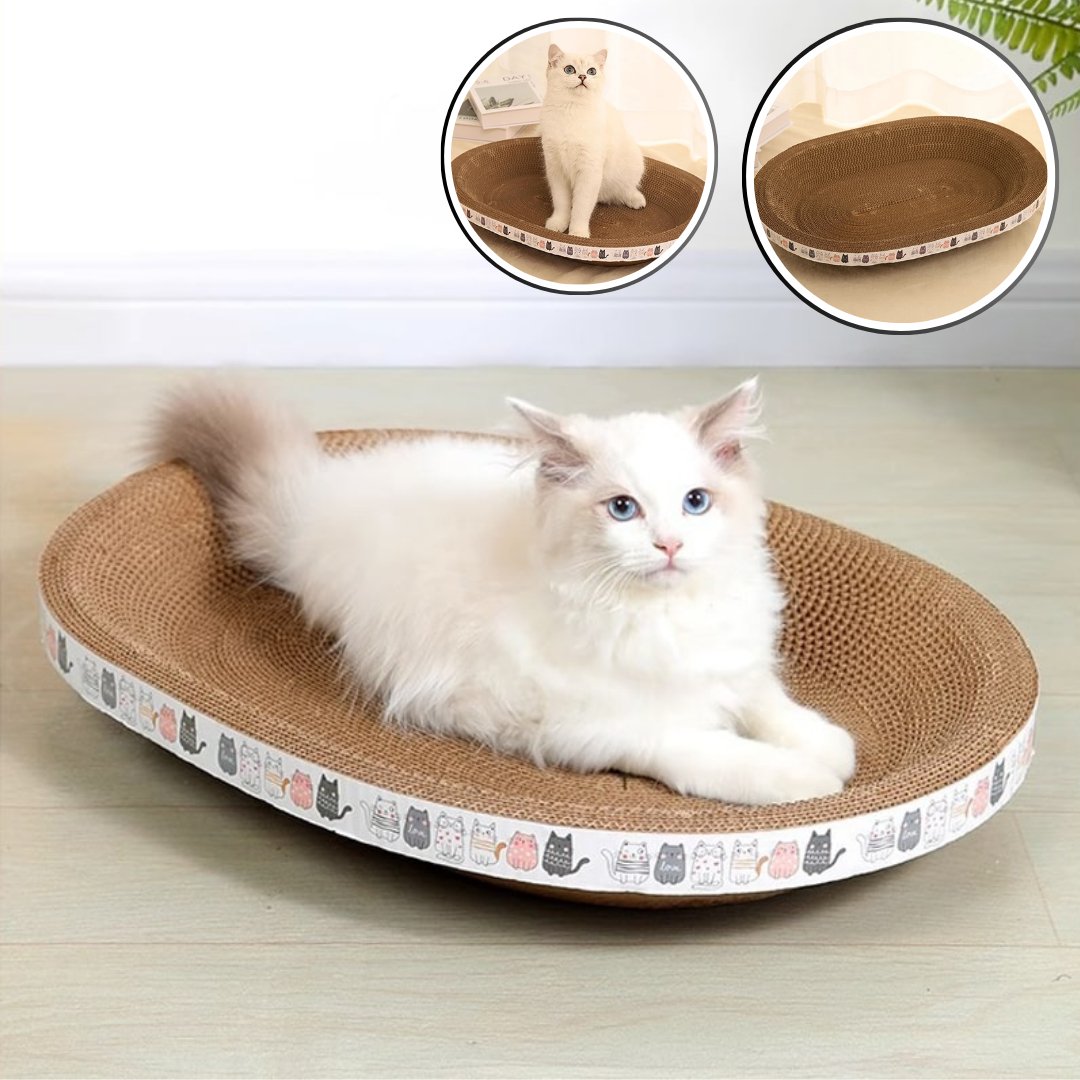 Griffoir pour chat - PanierBol™ - LES DEUX CHATS
