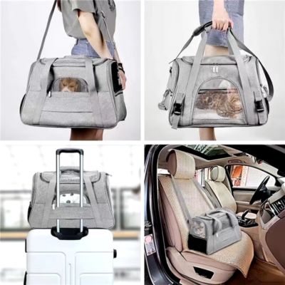 Sac de transport pour chat | KittenBag™ - LES DEUX CHATS