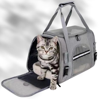 Sac de transport pour chat | KittenBag™ - LES DEUX CHATS