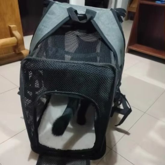 Sac de transport pour chats extensible - LES DEUX CHATS