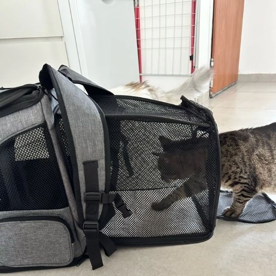 Sac de transport pour chats extensible - LES DEUX CHATS