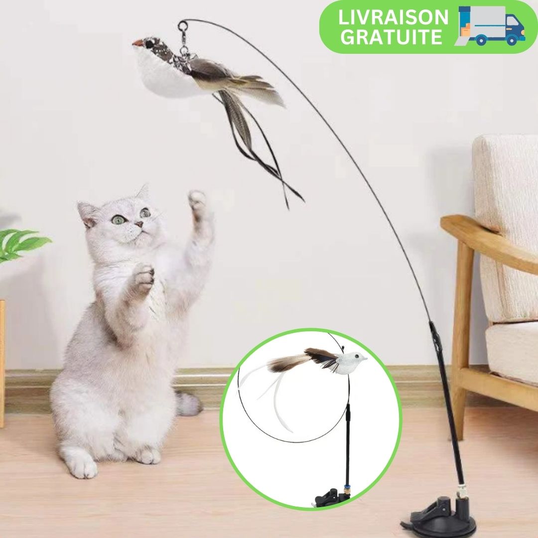 BirdFly™ | Jouet interactif pour chat avec oiseau et clochette - LES DEUX CHATS