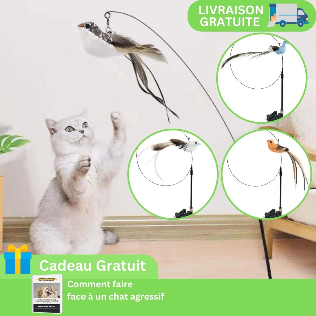 BirdFly™ | Jouet interactif pour chat avec oiseau et clochette - LES DEUX CHATS