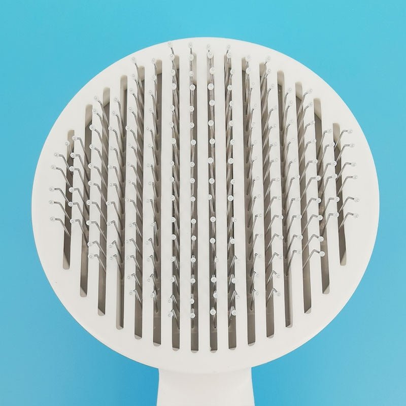 Brosse pour chat  massante