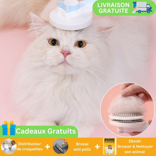 Brosse pour chat 