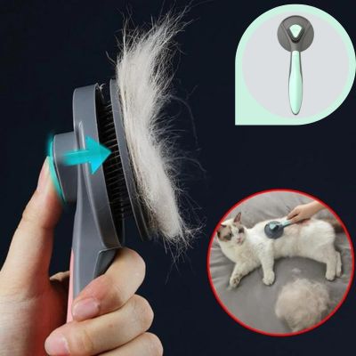 Brosse pour chat | CatComb™ - Chats Calins