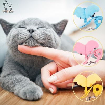 HarnessAngel™ | Harnais pour chat avec ailes d'ange - Chats Calins