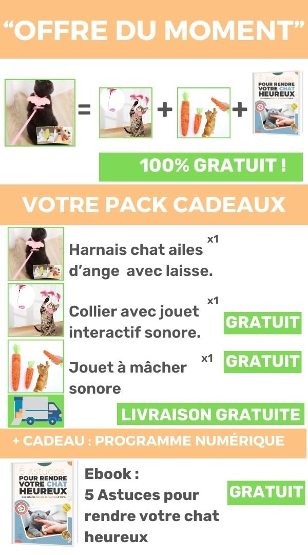 HarnessAngel™ | Harnais pour chat avec ailes d'ange - Chats Calins