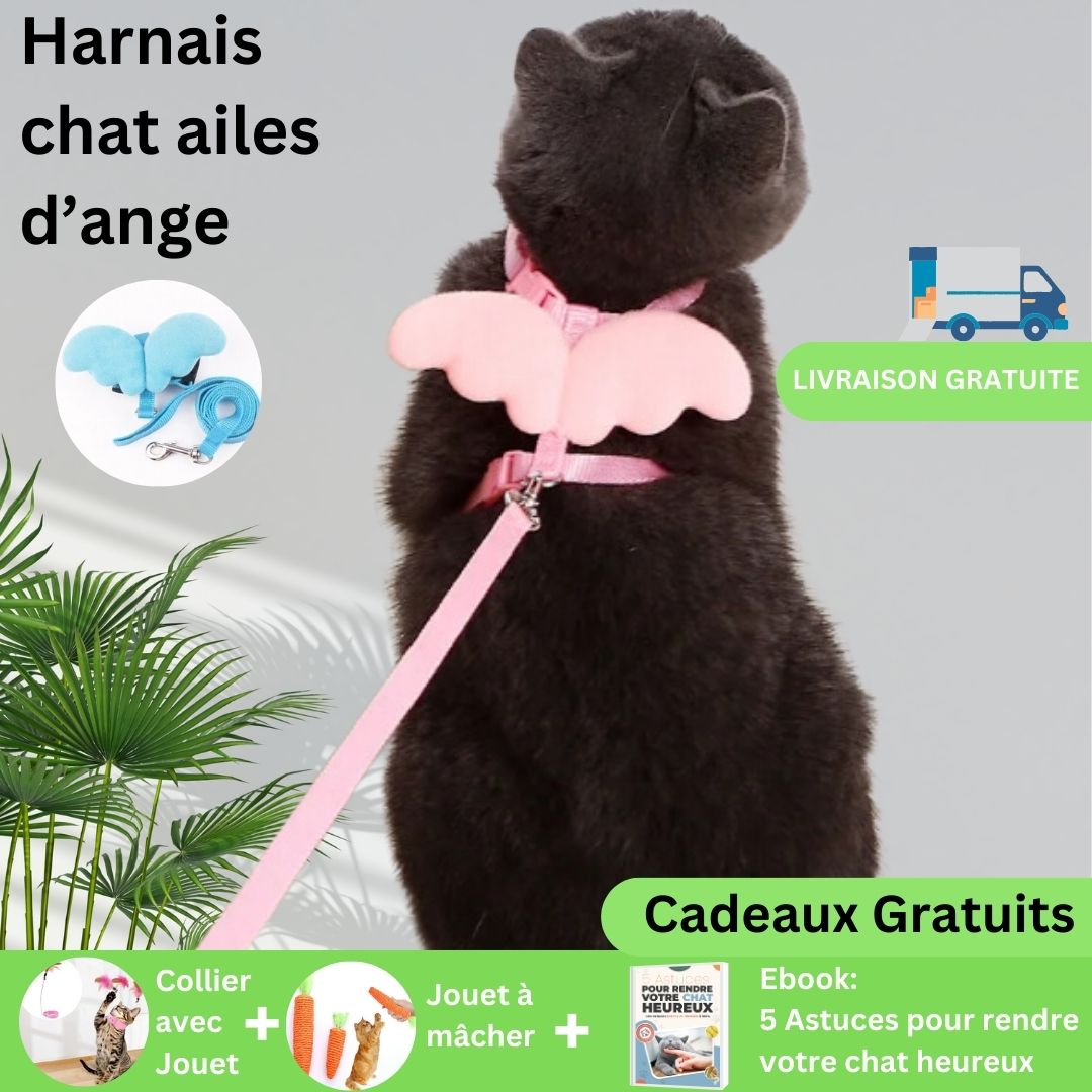 HarnessAngel™ | Harnais pour chat avec ailes d'ange - Chats Calins