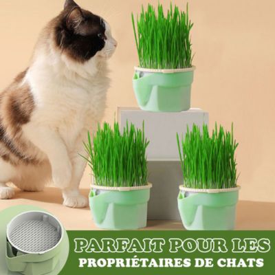 SeedCup™ - Jardinière d'herbe à chat - Chats Calins