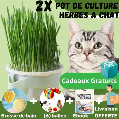 SeedCup™ - Pot de culture d'herbe à chat - Chats Calins
