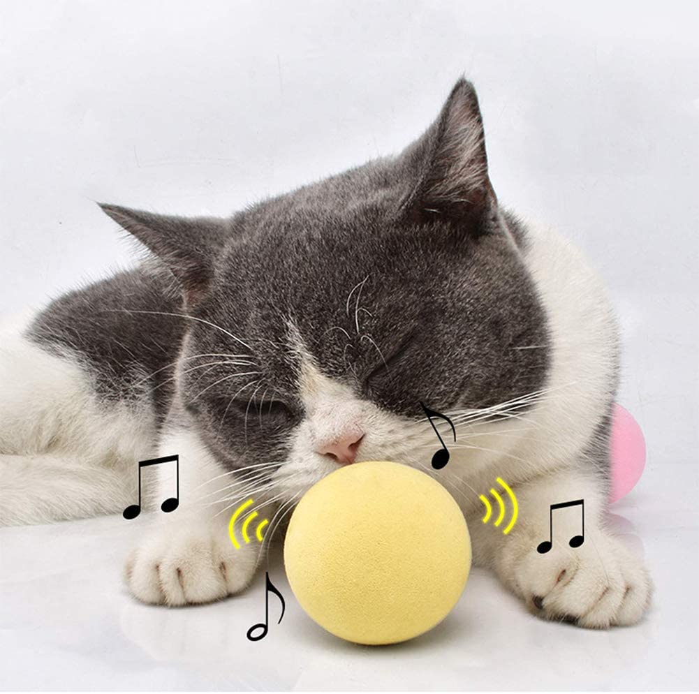 SmartBall™ - Balle intelligente d'apprentissage pour chat - Meow arena